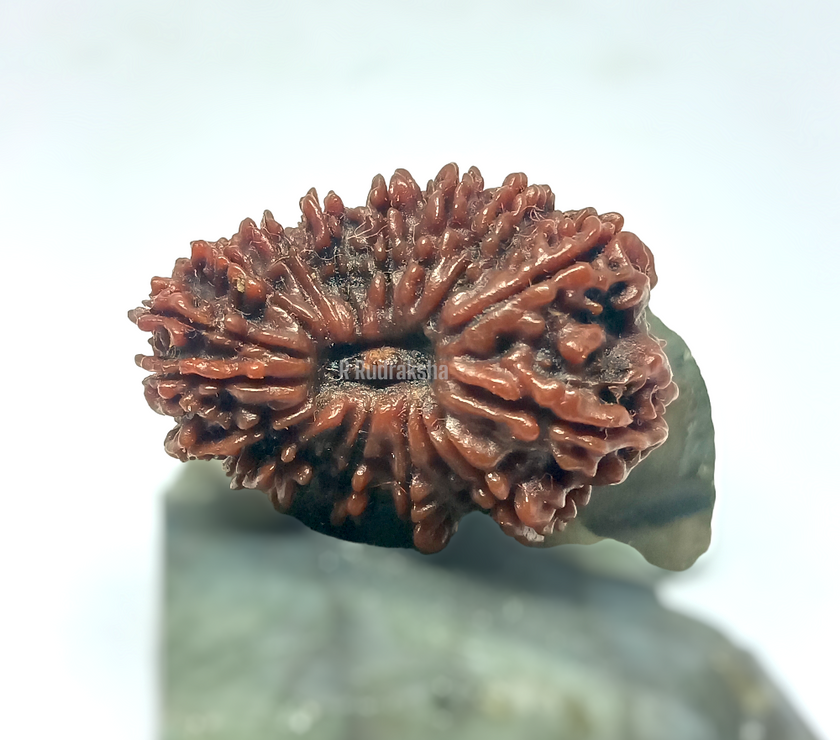 Compress_20221202_142347_7744