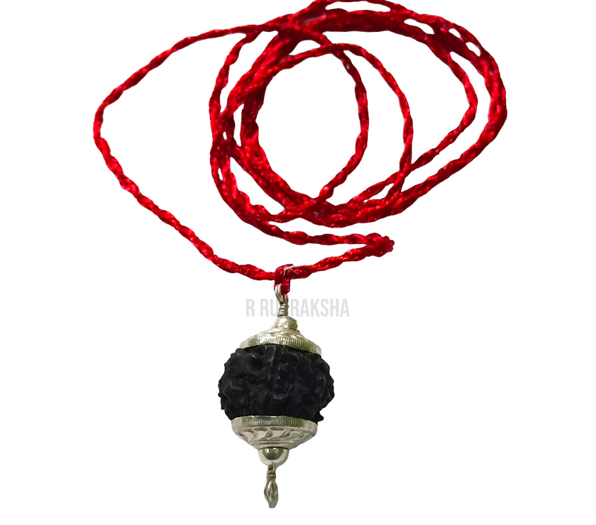 Black Coloured Nepali 5 Mukhi Rudraksha Lab Certified