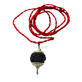 Black Coloured Nepali 5 Mukhi Rudraksha Lab Certified