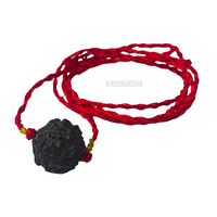 Black Coloured Nepali 4 Mukhi Rudraksha Lab Certified