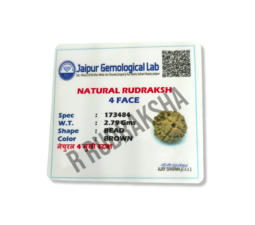 Nepali 4 Mukhi Rudraksha Lab Certified