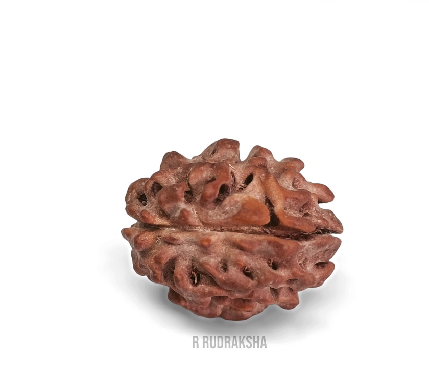 Compress_20221203_203532_2747