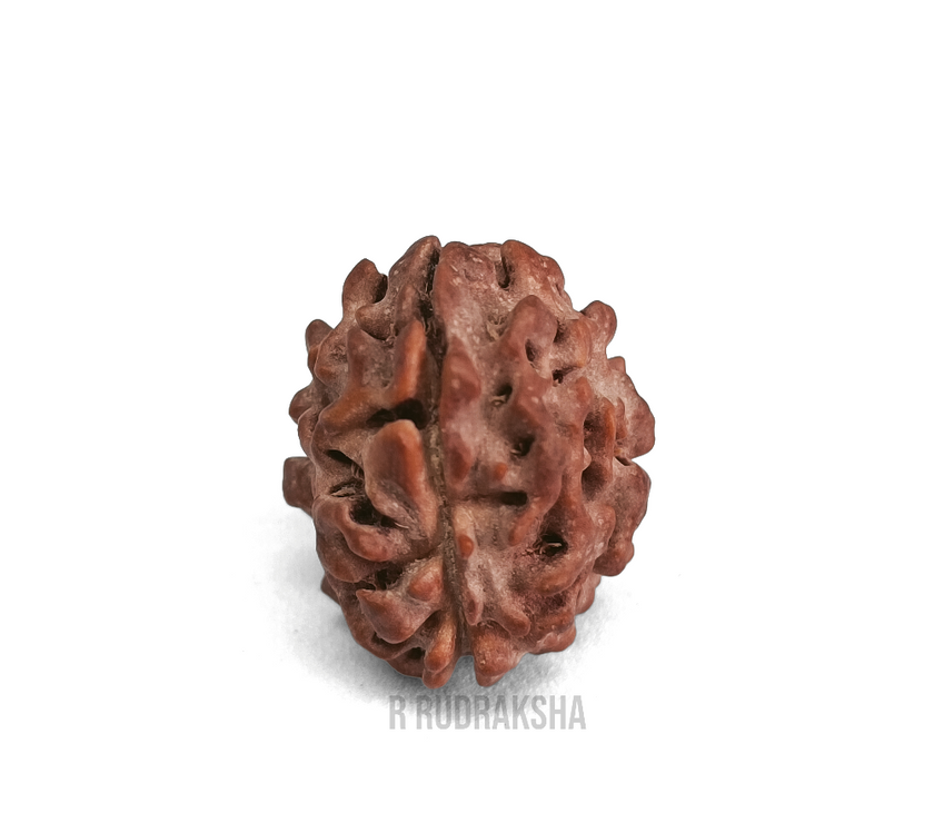 Compress_20221203_203533_3248