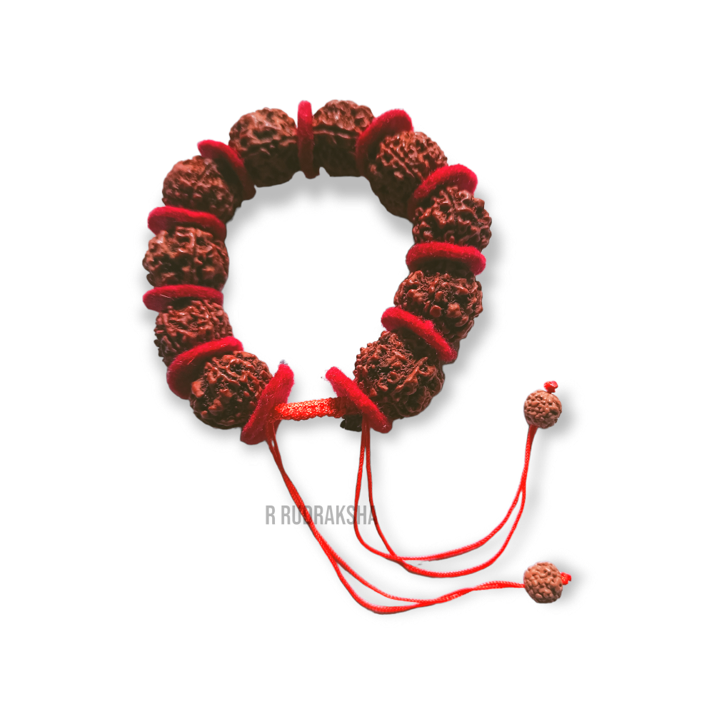 Nepali 5 Mukhi Rudraksha Bracelet Unique Addition