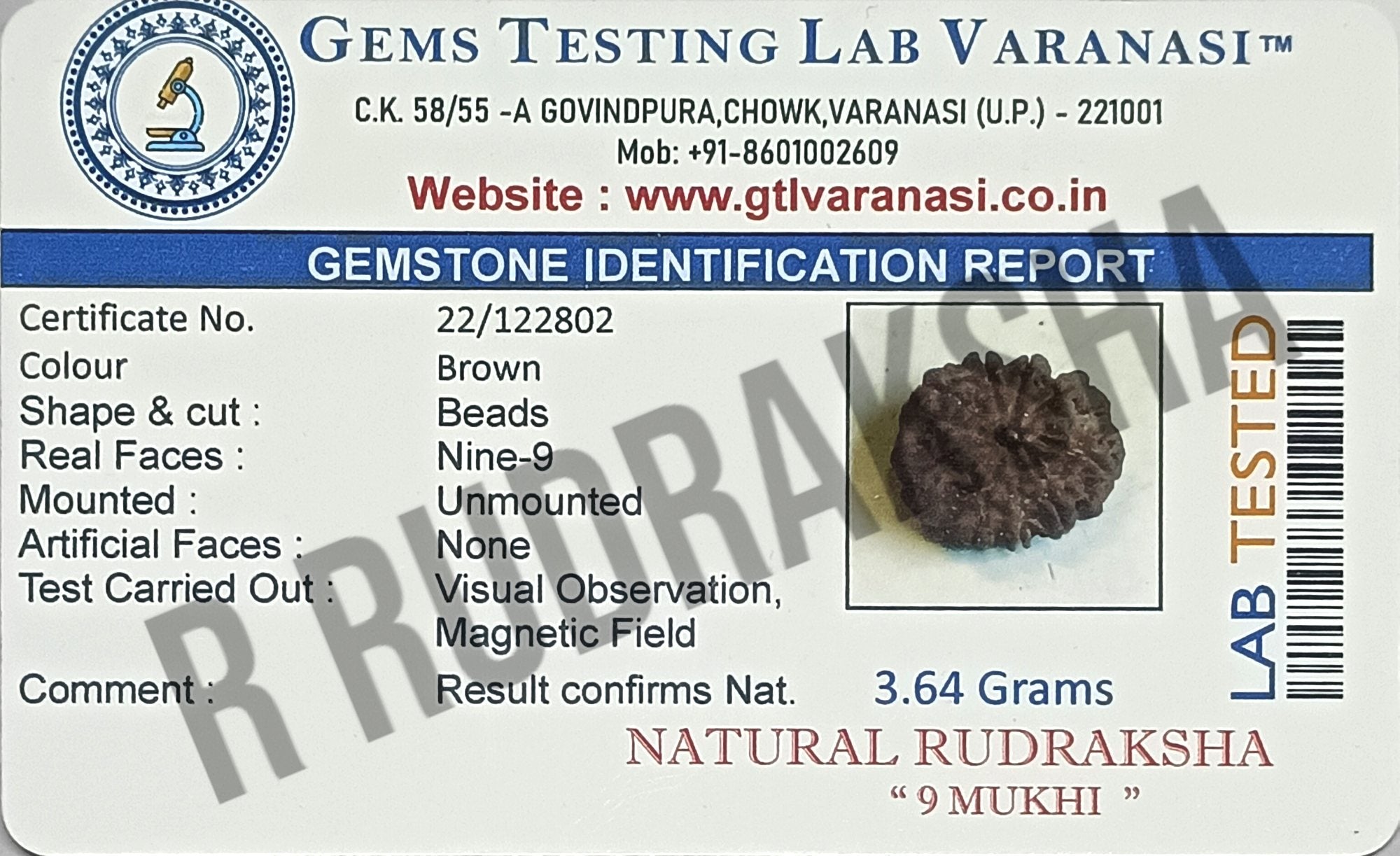 Nepali 9 Mukhi Rudraksha Lab Certified