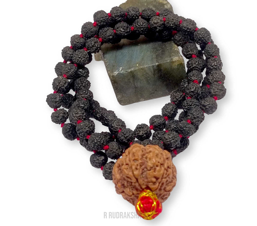 Nepali 7 Mukhi Rudraksha String With Black Rudraksha Mala