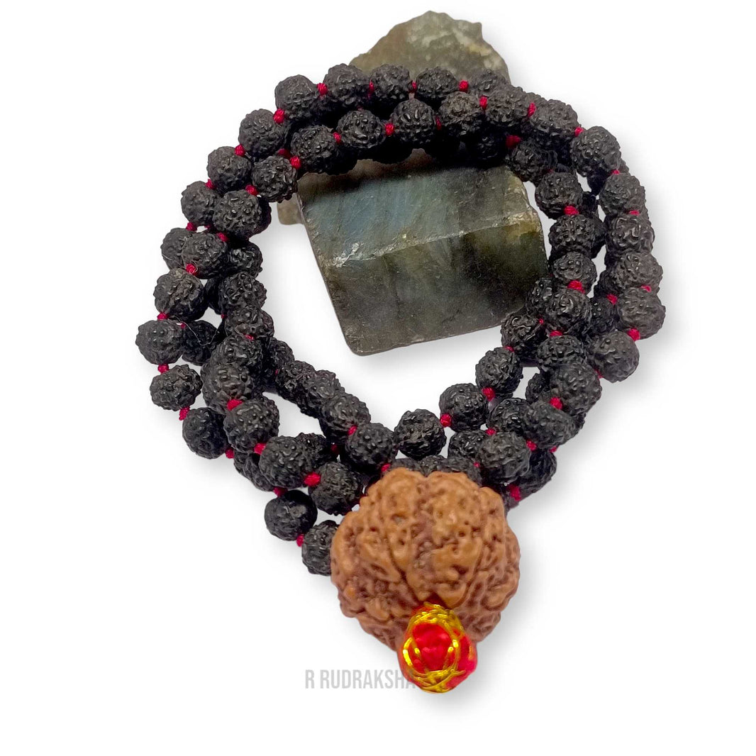 Nepali 7 Mukhi Rudraksha String With Black Rudraksha Mala