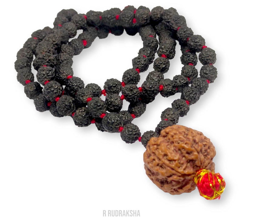 Nepali 5 Mukhi Rudraksha String With Black Rudraksha Mala