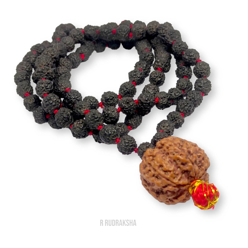 Nepali 5 Mukhi Rudraksha String With Black Rudraksha Mala