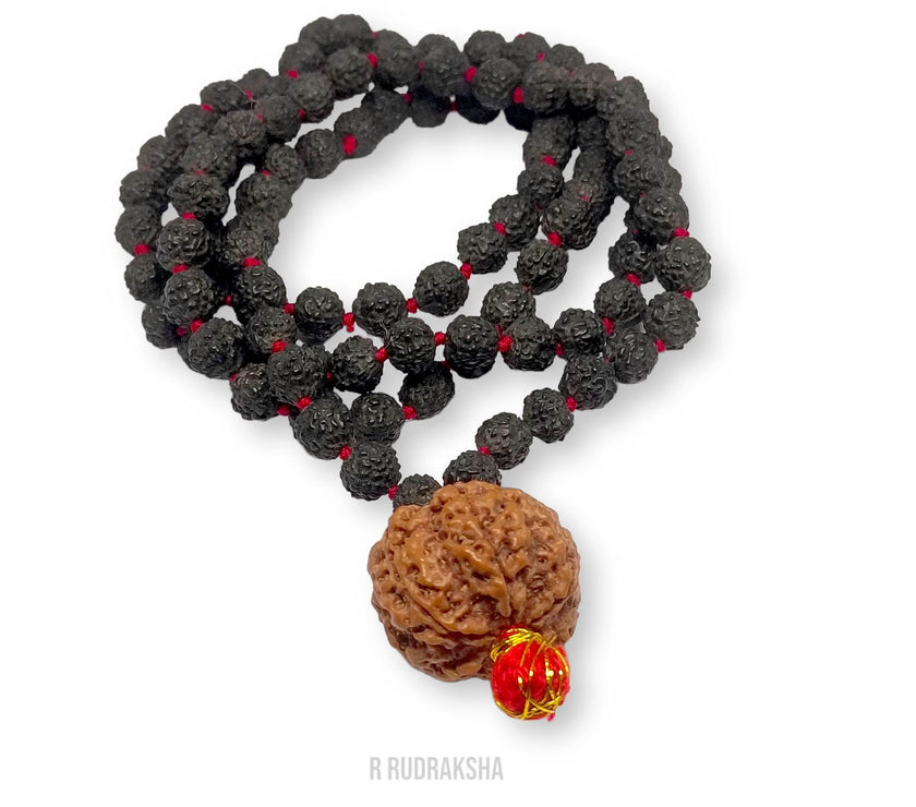 Nepali 4 Mukhi Rudraksha String With Black Rudraksha Mala