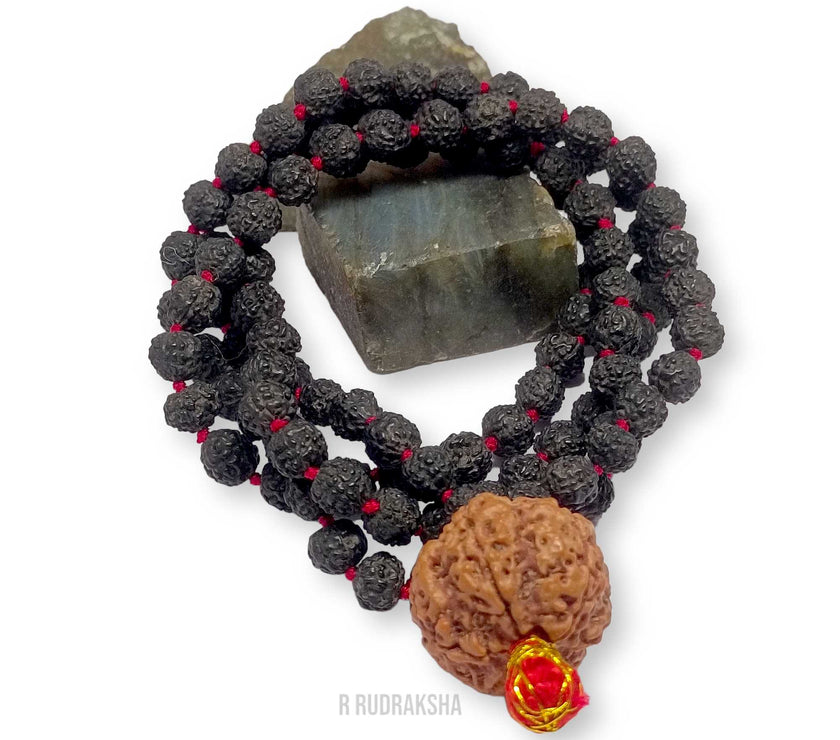 Nepali 9 Mukhi Rudraksha String With Black Rudraksha Mala