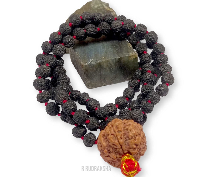 Nepali 6 Mukhi Rudraksha String With Black Rudraksha Mala