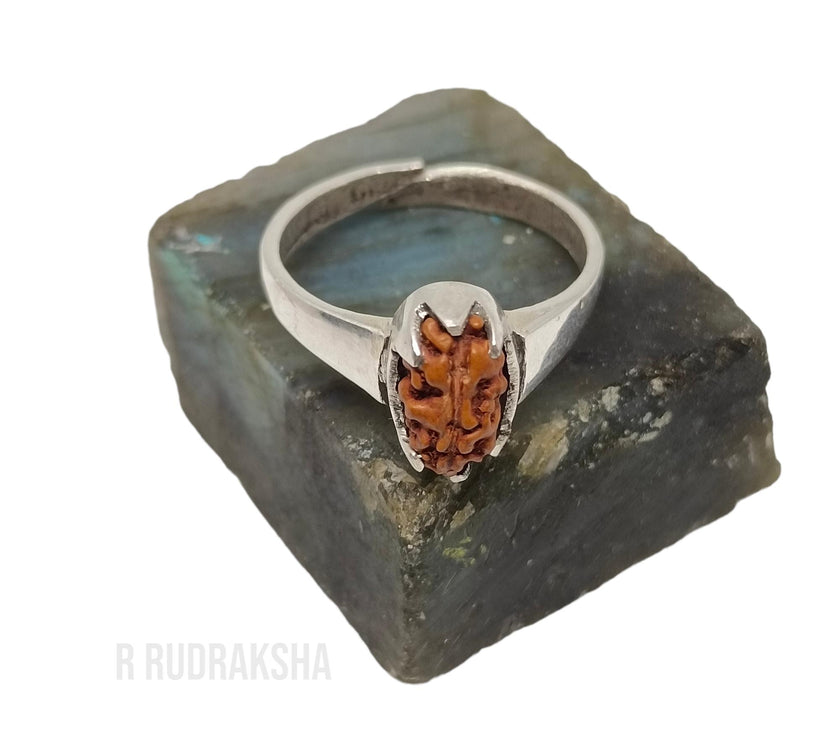 Java 1 Mukhi Rudraksha Ring in Pure Silver Free Size Lab Certified