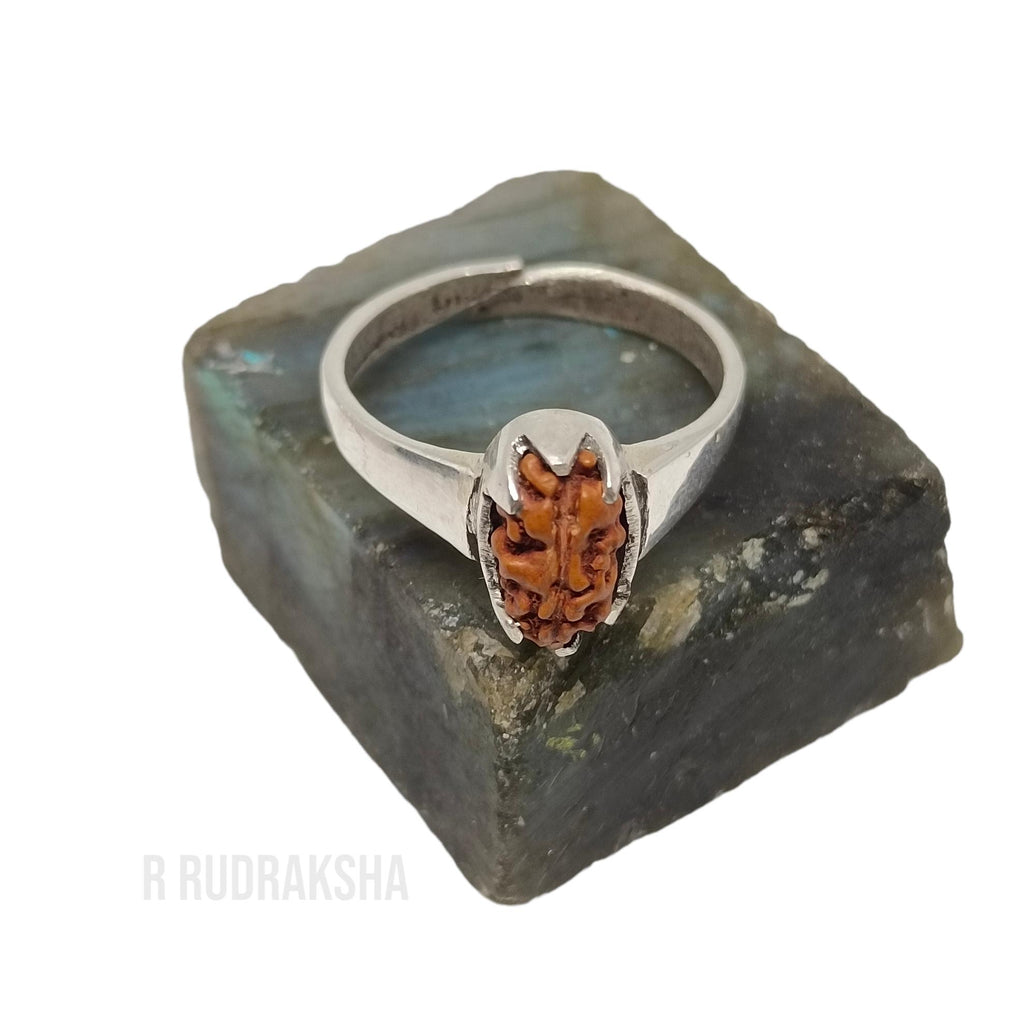 Java 1 Mukhi Rudraksha Ring in Pure Silver Free Size Lab Certified