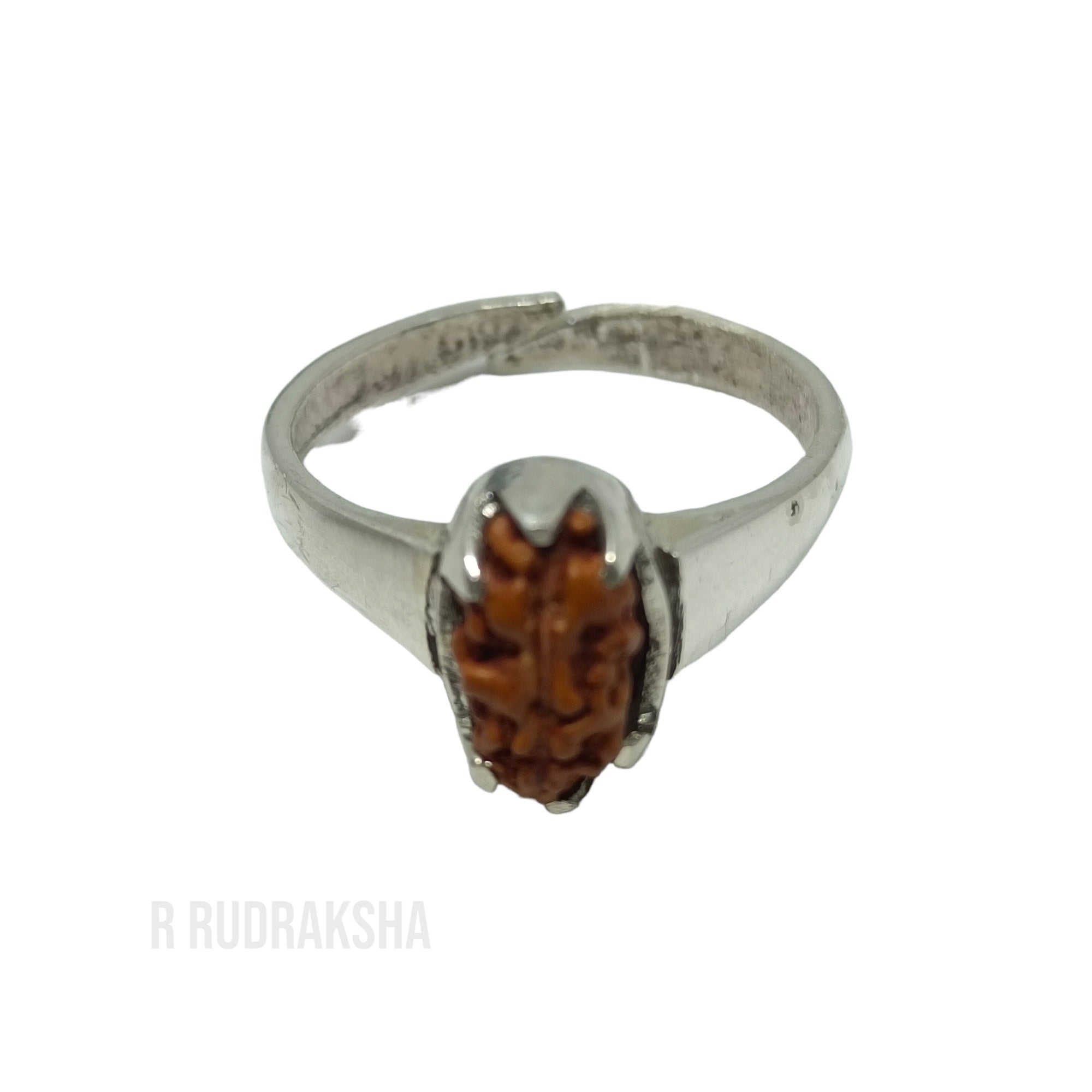 Java 1 Mukhi Rudraksha Ring in Pure Silver Free Size Lab Certified