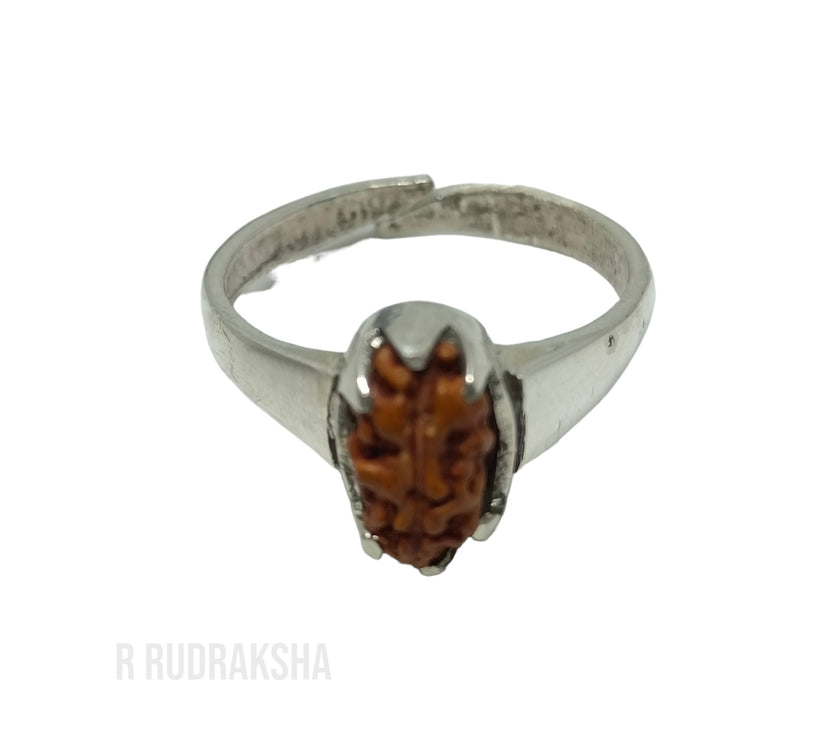 Java 1 Mukhi Rudraksha Ring in Pure Silver Free Size Lab Certified