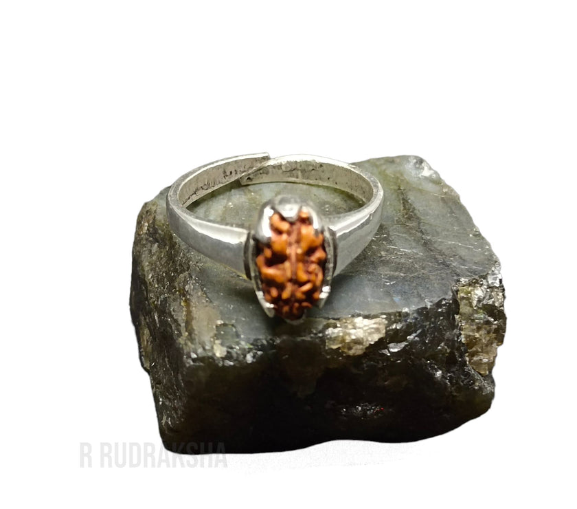 Java 1 Mukhi Rudraksha Ring in Pure Silver Free Size Lab Certified