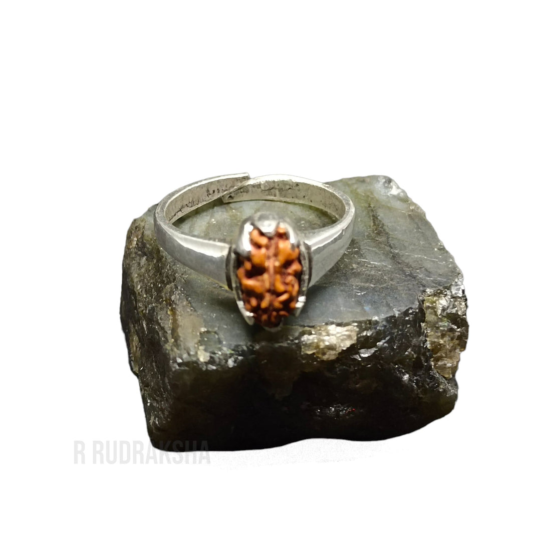 Java 1 Mukhi Rudraksha Ring in Pure Silver Free Size Lab Certified