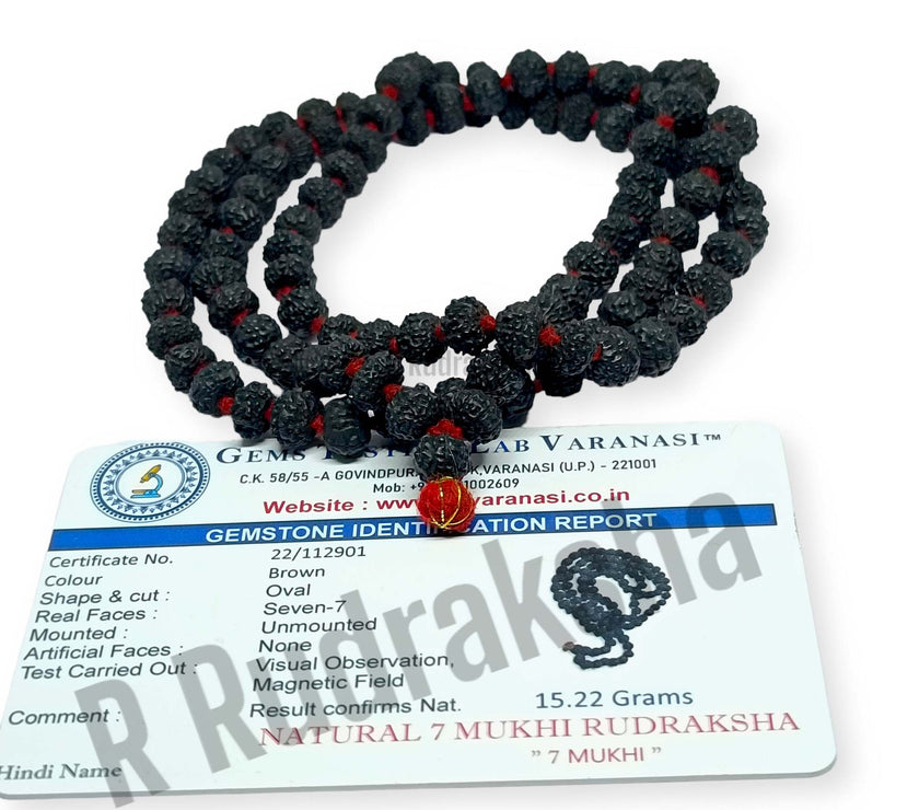 Compress_20230105_205730_0182