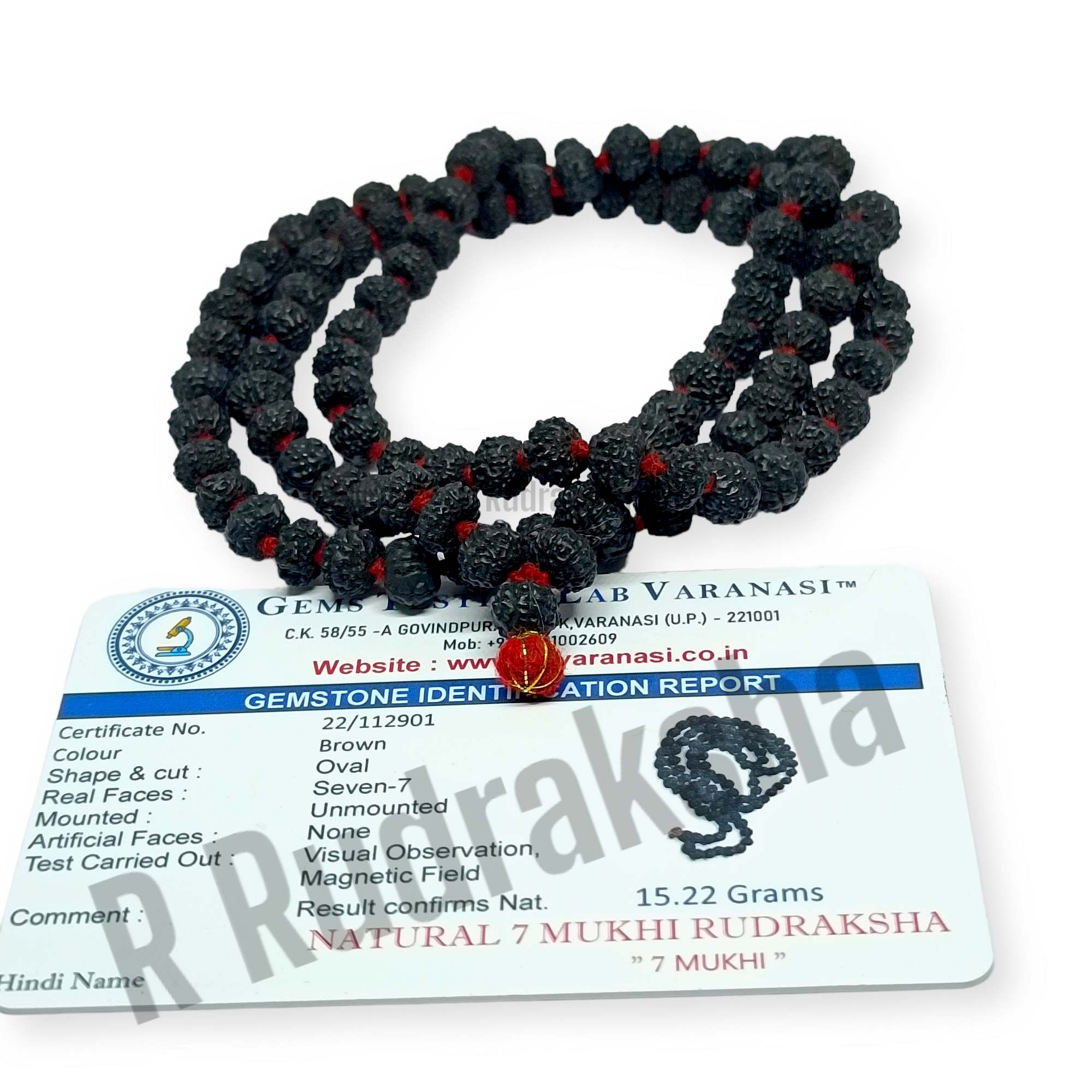 7 Mukhi Rudraksha Mala / 7 Viso Rosario 108+1 Preghiera Perline- Lab Certificato 7 Mukhi Rudraksha Mala / 7 Viso Rosario 108+1 Preghiera Perline- Lab Certificato