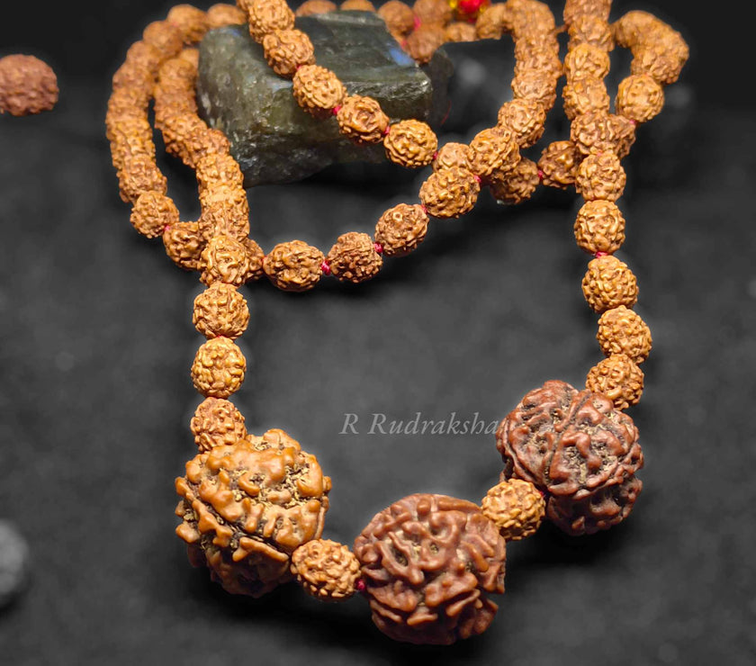 Compress_20230112_140906_6623