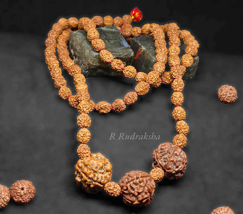 Compress_20230112_140907_7189