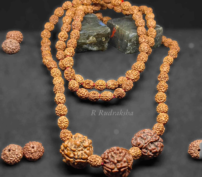 Compress_20230112_140907_7510