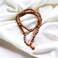 Lab Certified 3 Mukhi Rudraksha Mala