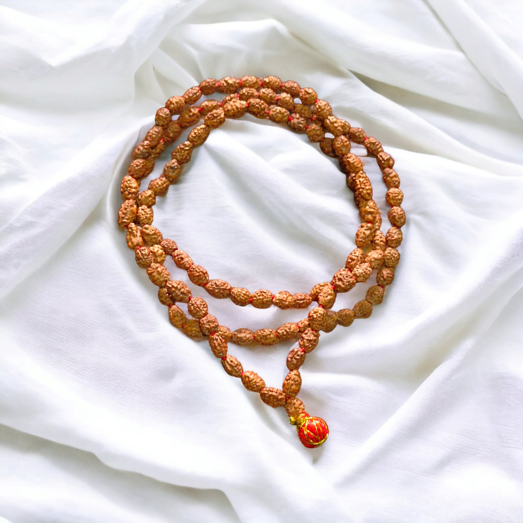 Lab Certified 3 Mukhi Rudraksha Mala