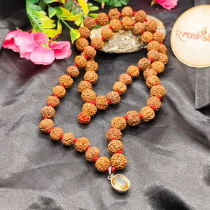 A Mala made up with 27 Beads of 7 Mukhi, 7 beads of 8 Mukhi with a citrine Pendant in center 