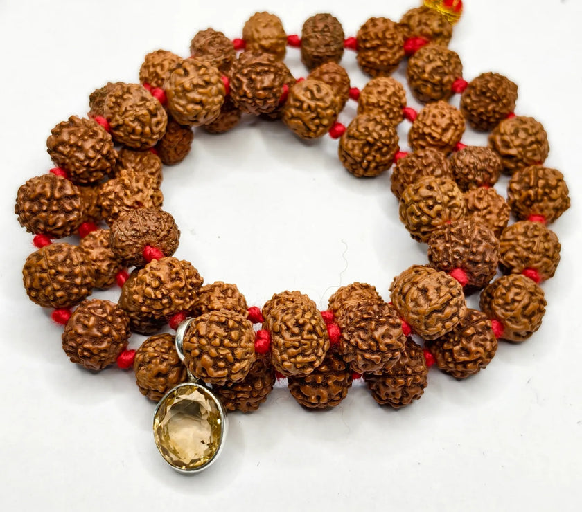 Dhan Vridhi Kawach mala on white background image 7 and 8 Mukhi rudraksha combination with citrine Pendant well detailing product description for the delay replies 