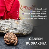 Ganesha Rudraksha with information text on a dark background