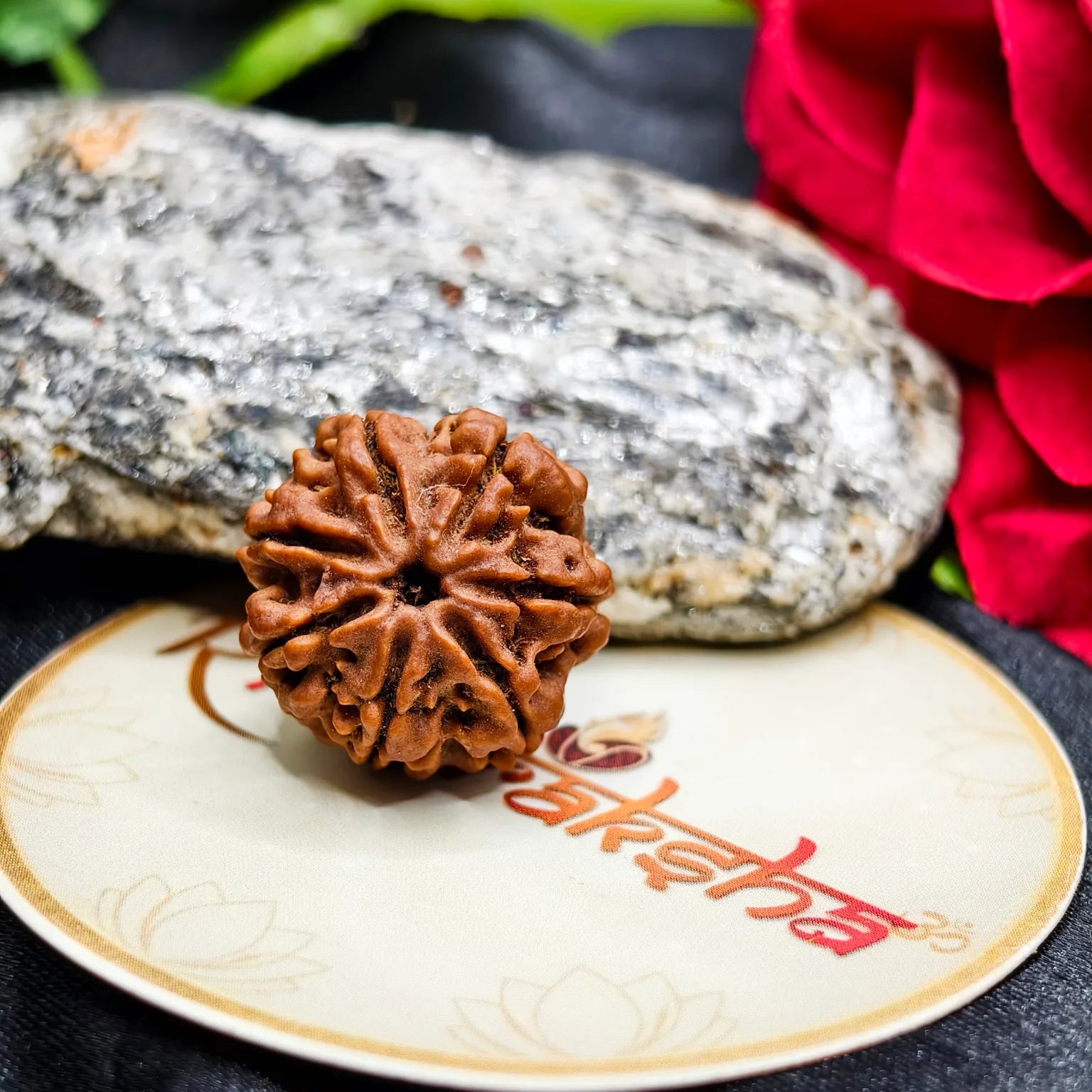 Nepali 7 Mukhi Rudraksha Lab Certified