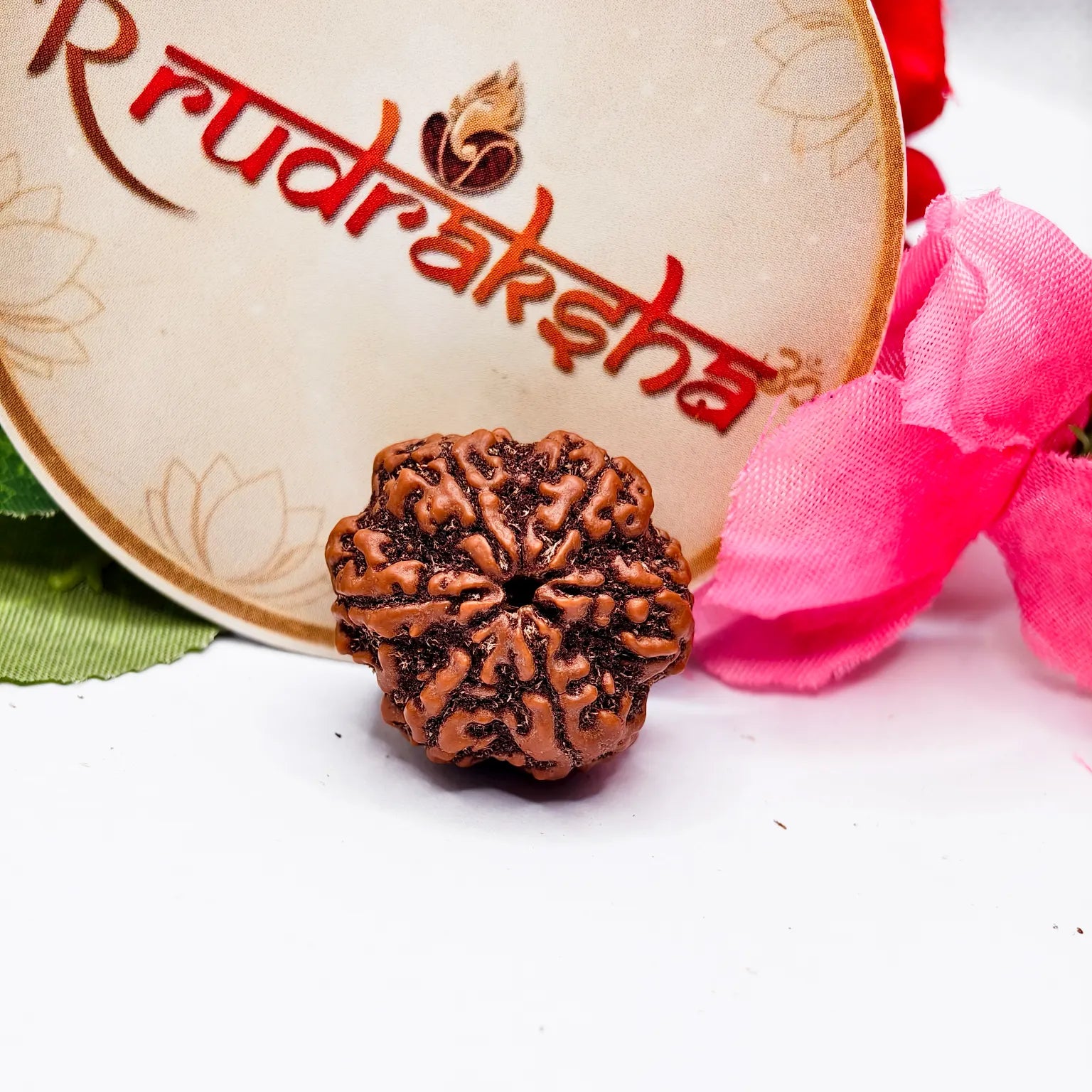 Nepali 6 Mukhi Rudraksha Lab Certified
