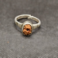 Indonesian 12 Mukhi Rudraksha Ring Adjustable Free Size