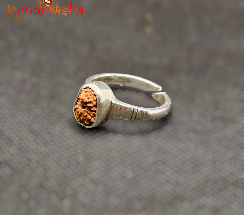 Indonesian 12 Mukhi Rudraksha Ring Adjustable Free Size