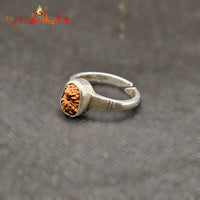 Indonesian 12 Mukhi Rudraksha Ring Adjustable Free Size