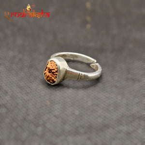 Indonesian 12 Mukhi Rudraksha Ring Adjustable Free Size