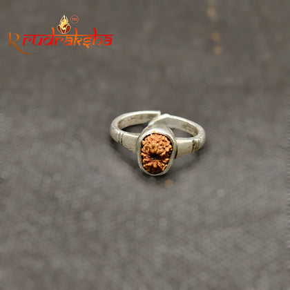 Indonesian 12 Mukhi Rudraksha Ring Adjustable Free Size