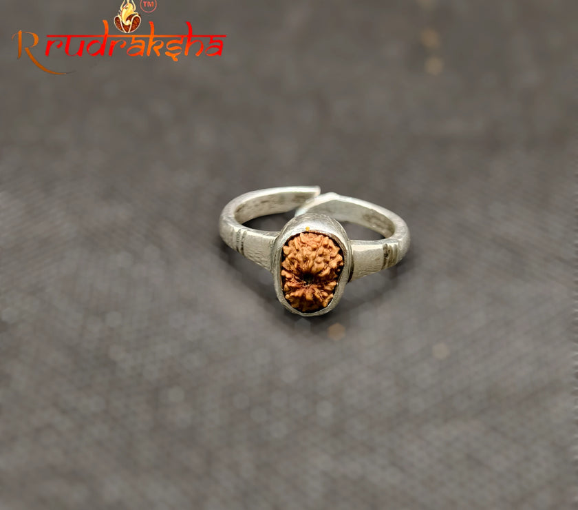 Indonesian 12 Mukhi Rudraksha Ring Adjustable Free Size