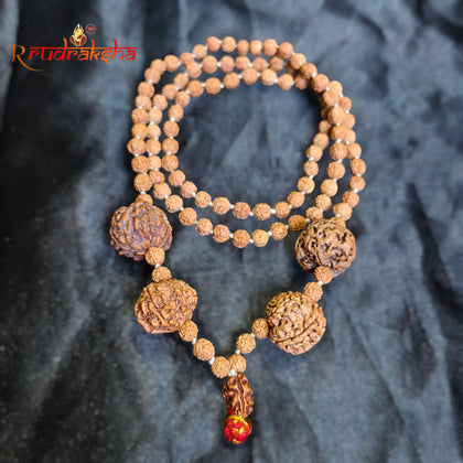 2 4 7 8 9 Mukhi with Punchmukhi Rudraksha Combination Mala