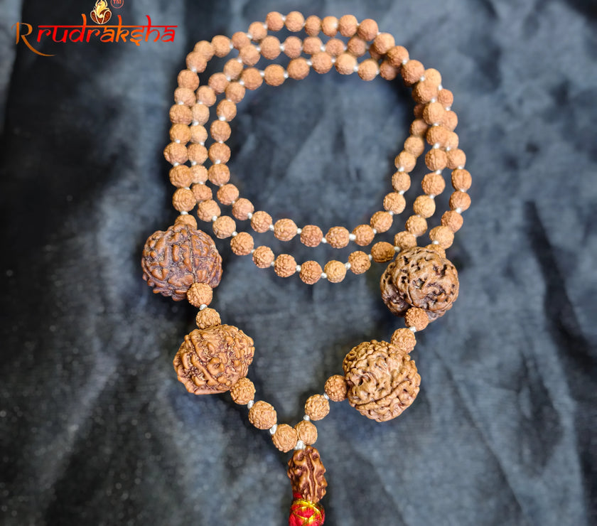 2 4 7 8 9 Mukhi with Punchmukhi Rudraksha Combination Mala