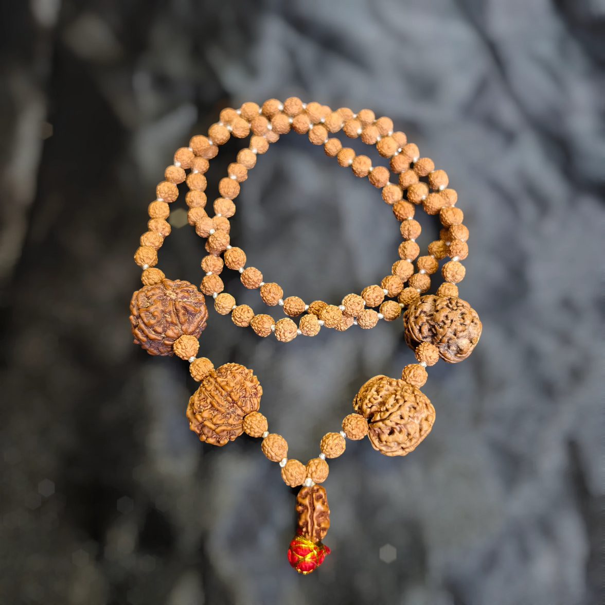 2 4 7 8 9 Mukhi with Punchmukhi Rudraksha Combination Mala