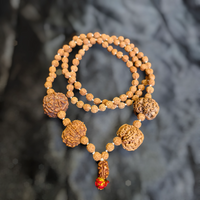 2 4 7 8 9 Mukhi with Punchmukhi Rudraksha Combination Mala