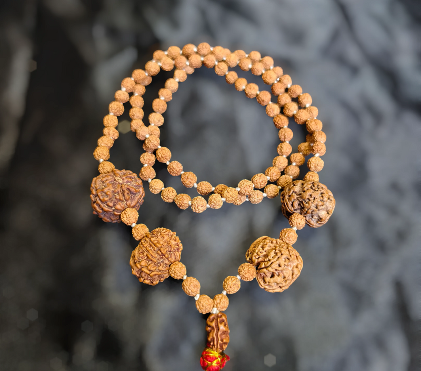 2 4 7 8 9 Mukhi with Punchmukhi Rudraksha Combination Mala