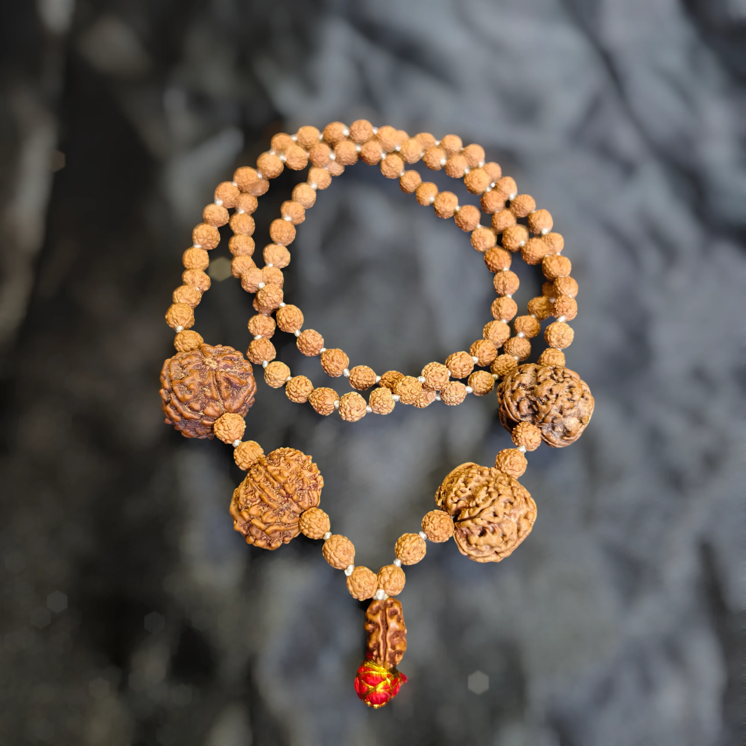 Mull Reksha Elite Divine Combination Rudraksha Mala - 2 4 5 7 8 and 9 Mukhi Rudrak