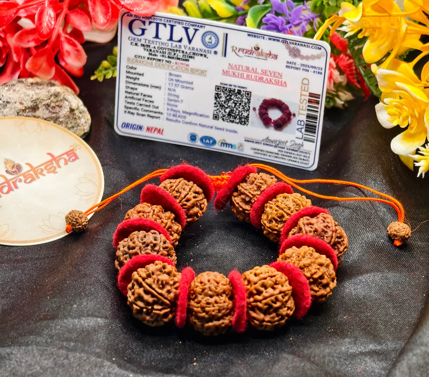 Lab Tested Authentic Product Nepali 7 Mukhi Rudraksha Premium Quality Beads with Valvet Cloths 