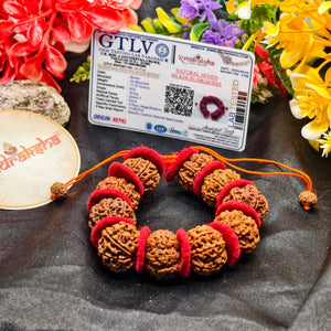 Lab Tested Authentic Product Nepali 7 Mukhi Rudraksha Premium Quality Beads with Valvet Cloths 