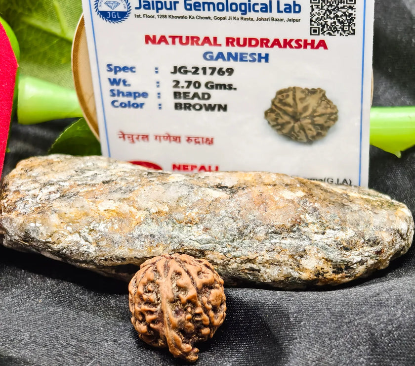 Certified Ganesh Rudraksha, Ganesh Rudraksha Lab Certified, authentic ganesh rudraksha lab Certified, Ganesh Rudraksha benefits, original Ganesh Rudraksha 