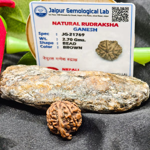 Certified Ganesh Rudraksha, Ganesh Rudraksha Lab Certified, authentic ganesh rudraksha lab Certified, Ganesh Rudraksha benefits, original Ganesh Rudraksha 